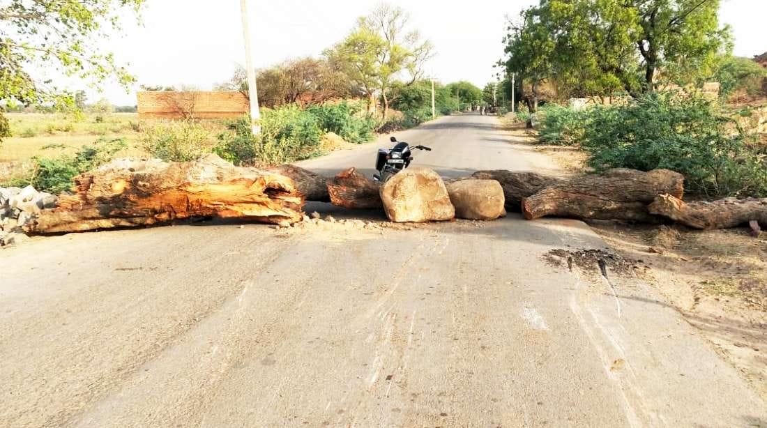 Now stopped the traffic by putting trees on the second border of UP-MP