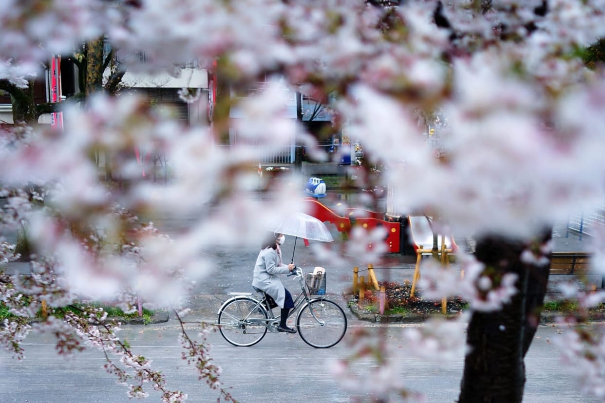 Demand for use of bicycle is increasing in western countries after the end of lockdown