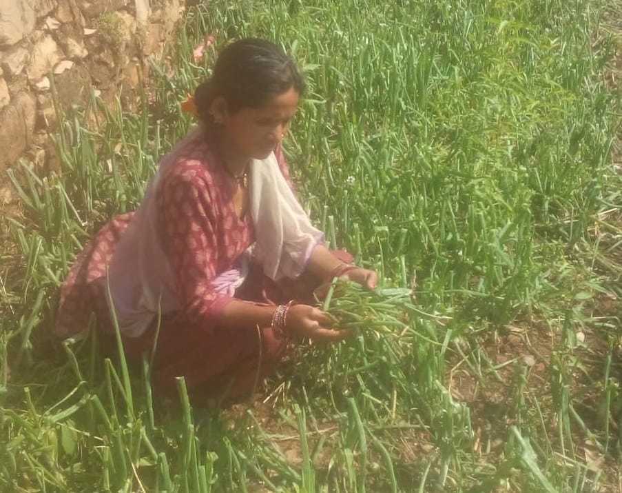 Crop Damage in Muvani