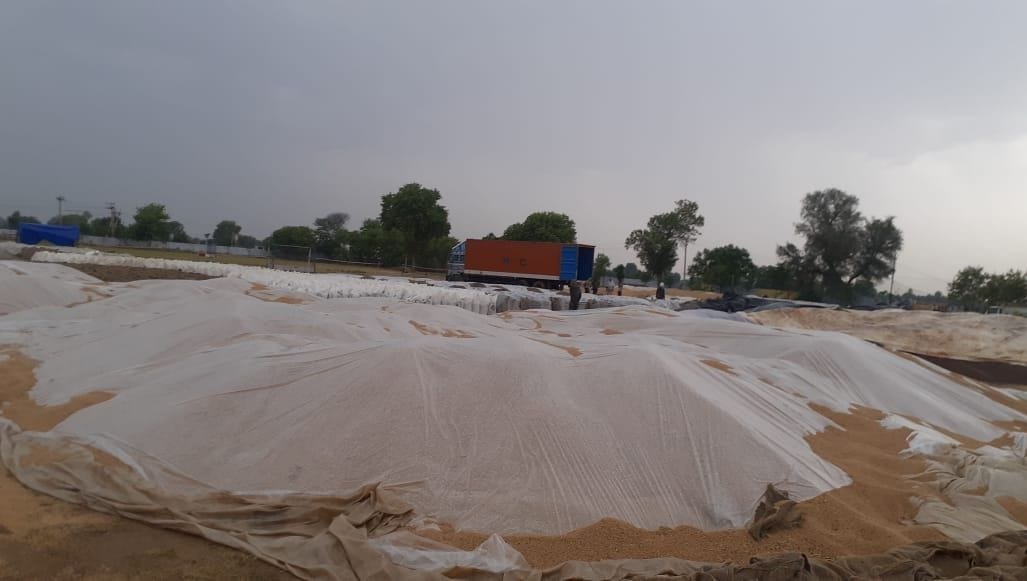 Mandi administration does not have enough resources, lack of tarpaulin leaves open mustard-wheat soaked