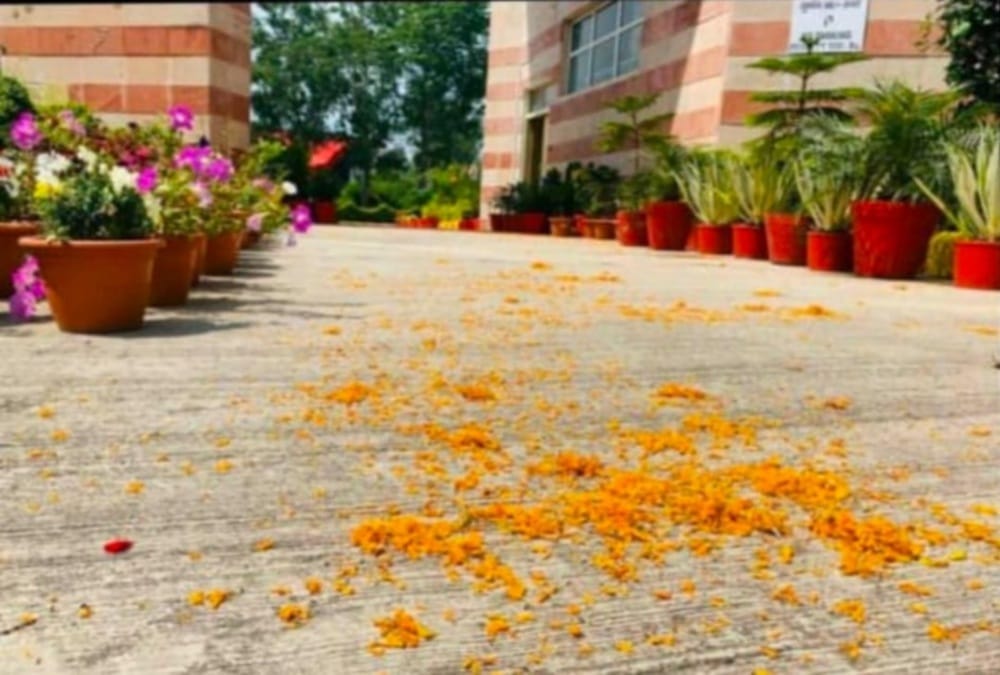 Coronavirus in Uttarakhand: Indian Army helicopter sprinkle Flowers on corona warriors, Amazing Visuals