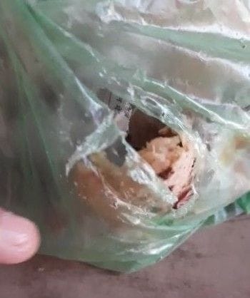 Doctors get in torn polythene in Quarantine center, video viral.