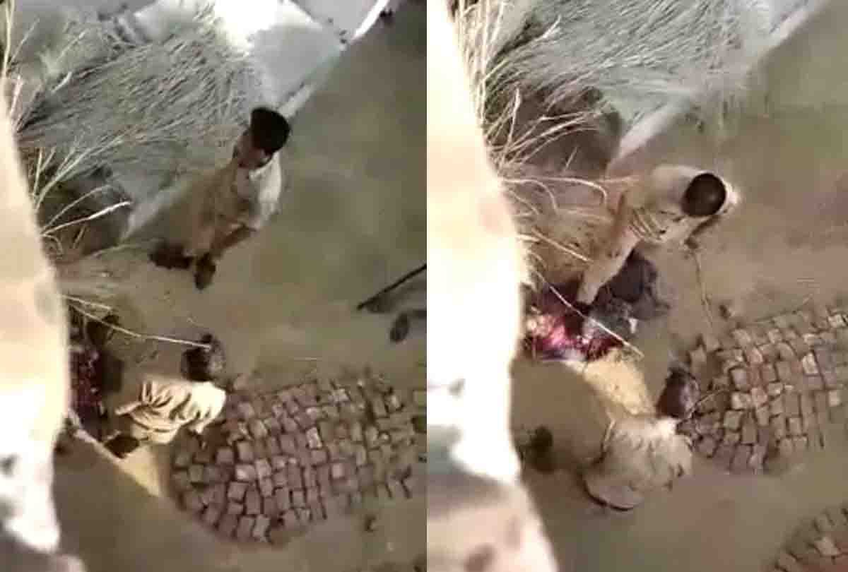 police constable put foot on chest of mentally deranged brutally beaten