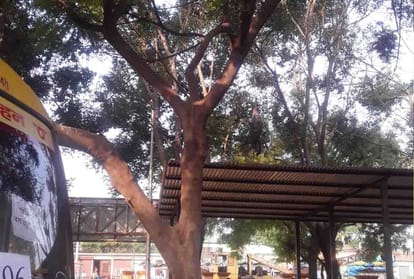 coronavirus in kannauj : Young man commits suicide due to fear of Corona
