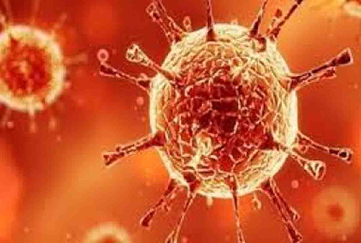 Coronavirus: decreasing speed of infection, all negative in 708 samples