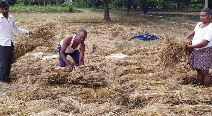 Workers forced to work on low wages