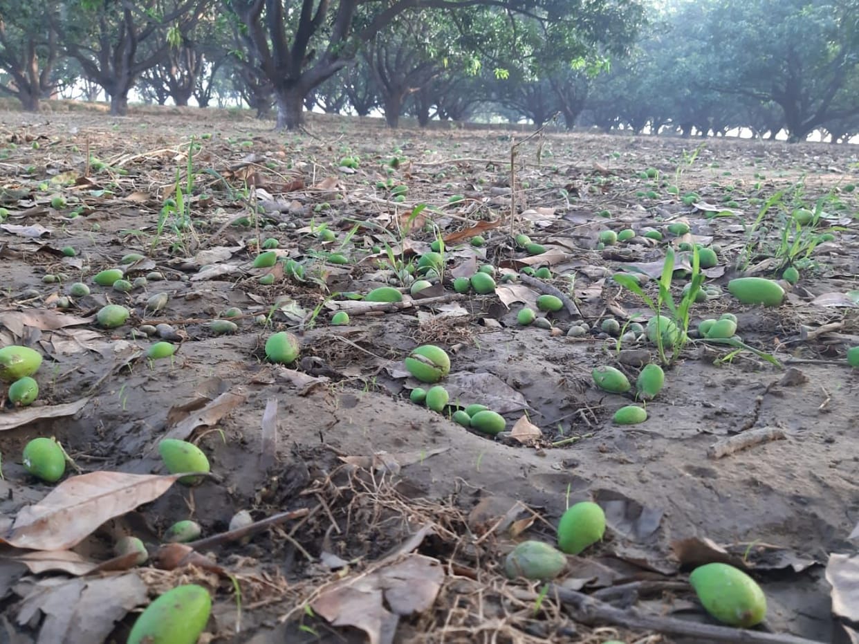 The storm turned water on farmers' expectations