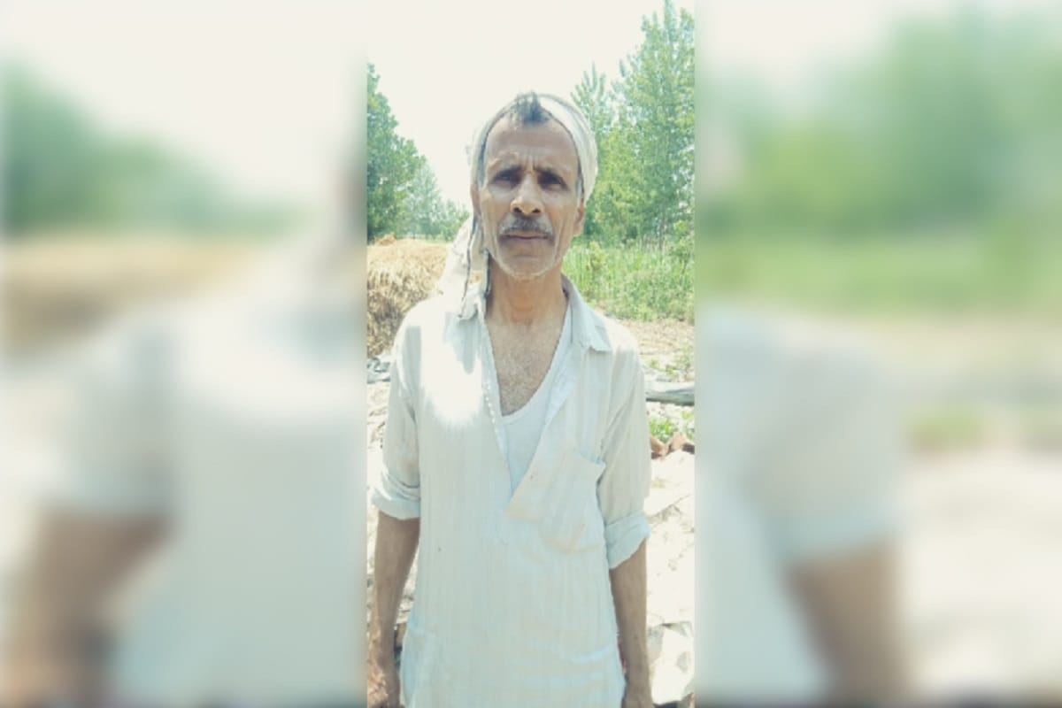 Farmers and garden contractors have suffered heavy losses due to rain in Shamli district of Uttar Pradesh