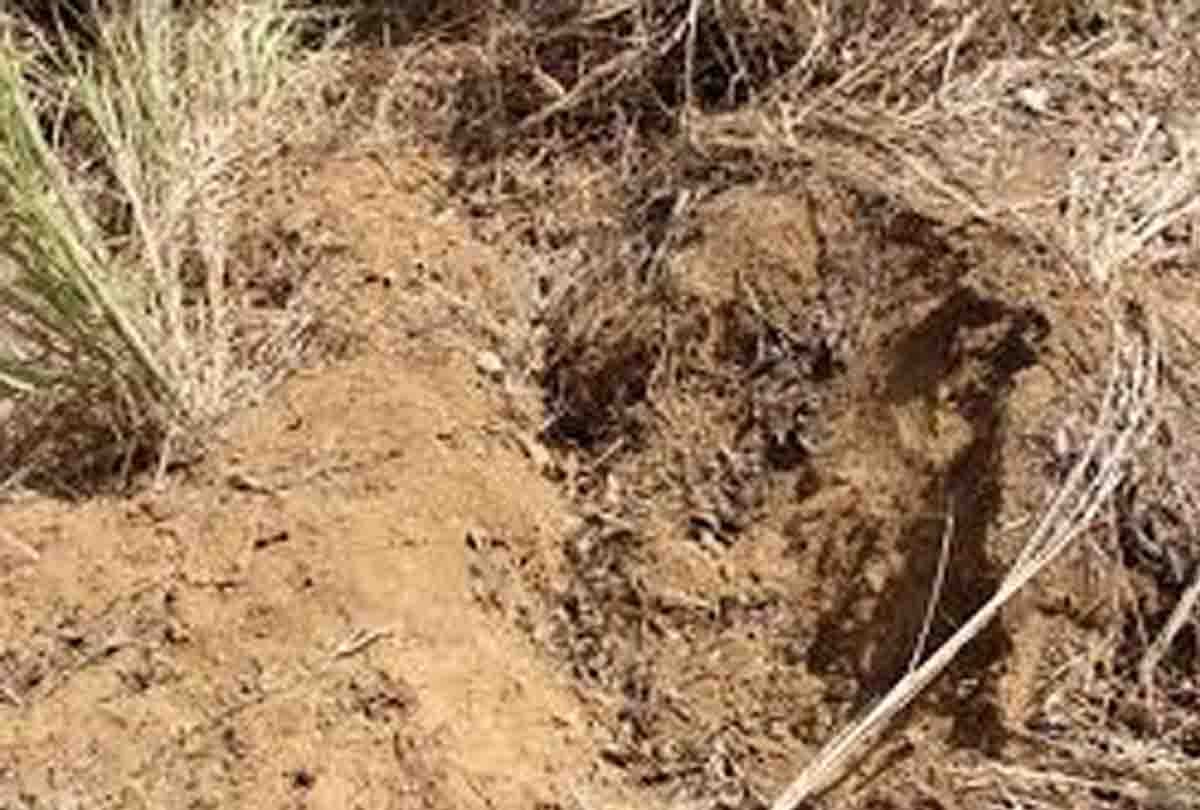Body of missing teenager found buried, parents still missing