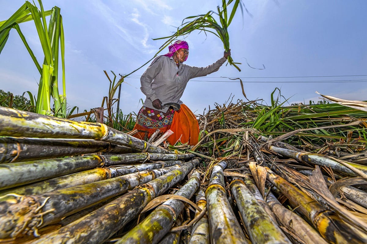 Agriculture machine shops will open during lockdown in Haryana