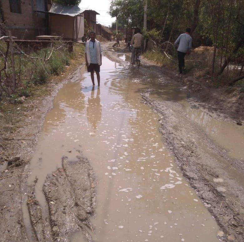 Rain affected wheat harvesting, damage to mango fruits