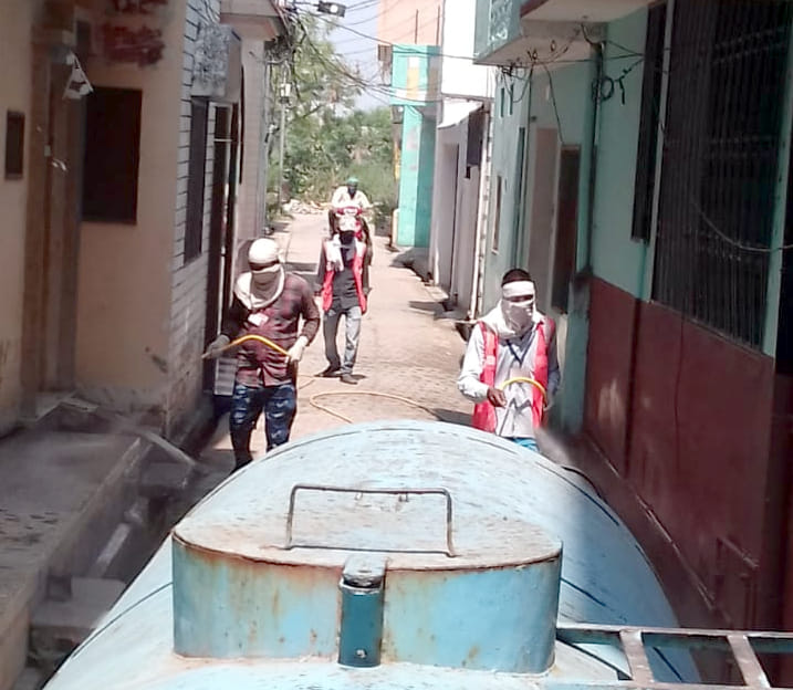 Municipality sprayed insecticide
