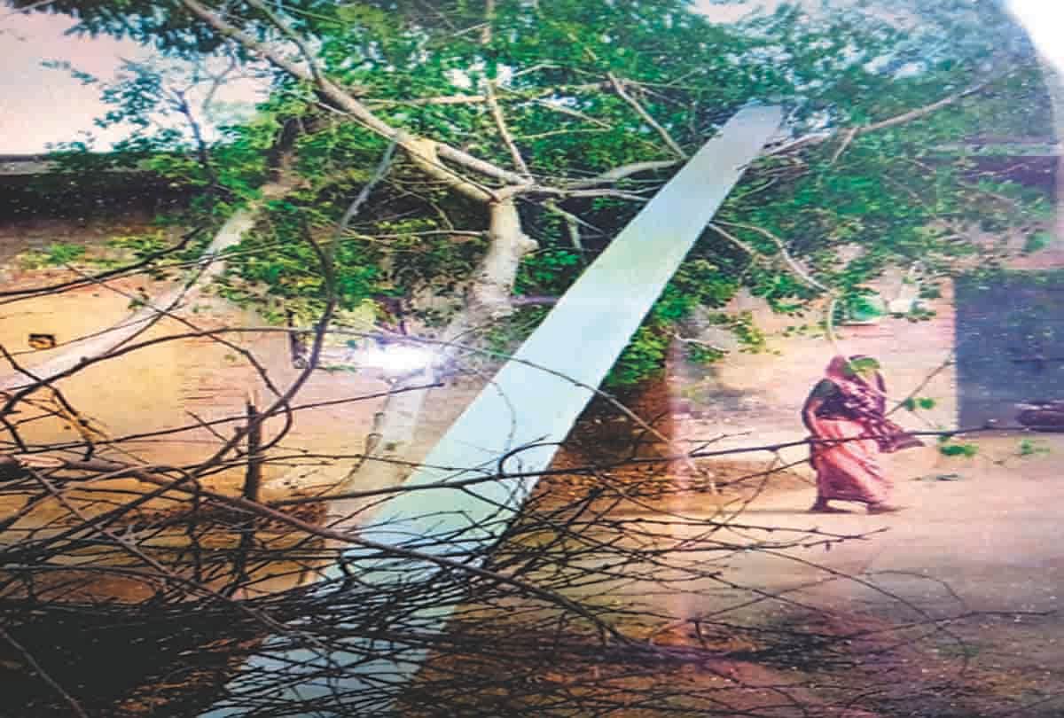 Pratapgarh: Lightning strikes in a storm, traffic falls due to falling trees