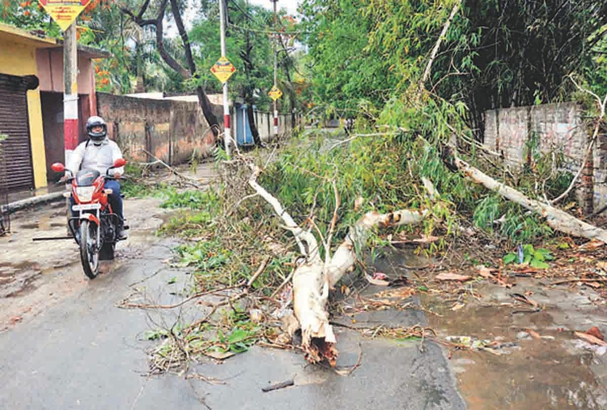 three died in pratapgrah during storm and rain