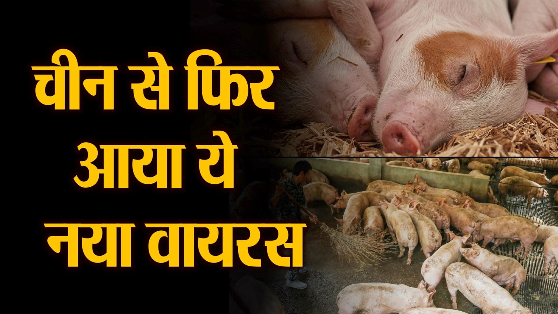 प्रतीकात्मक तस्वीर