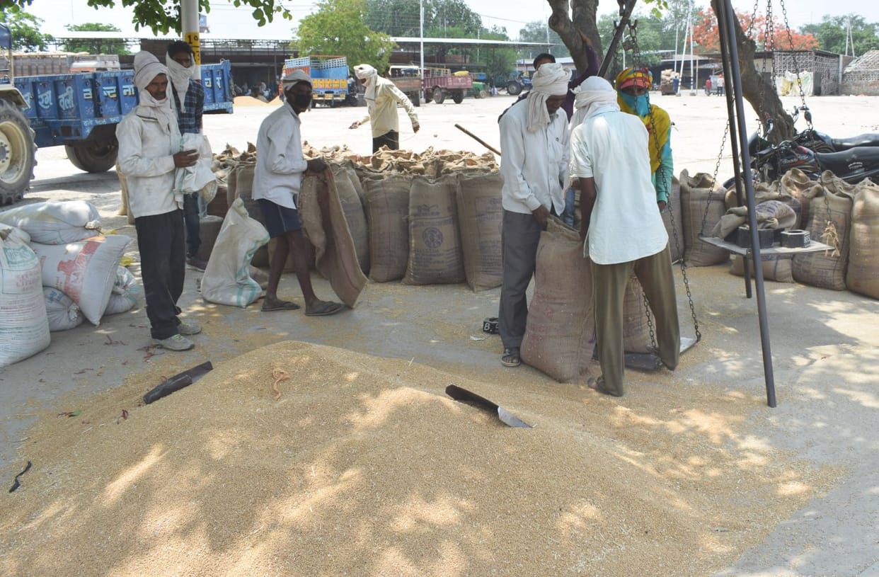 Galla Market