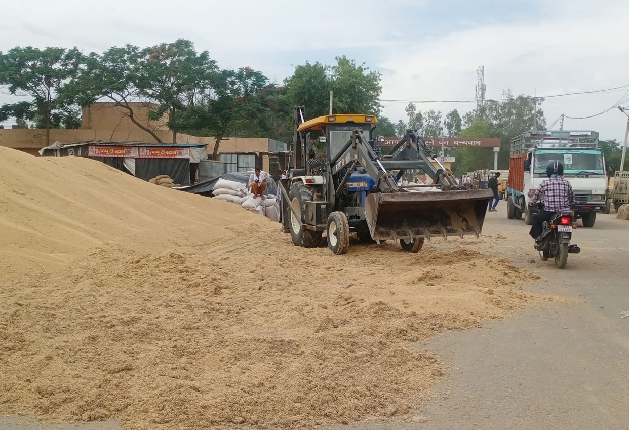 Due to rain, 100 quintals of wheat was damaged in the grain market.