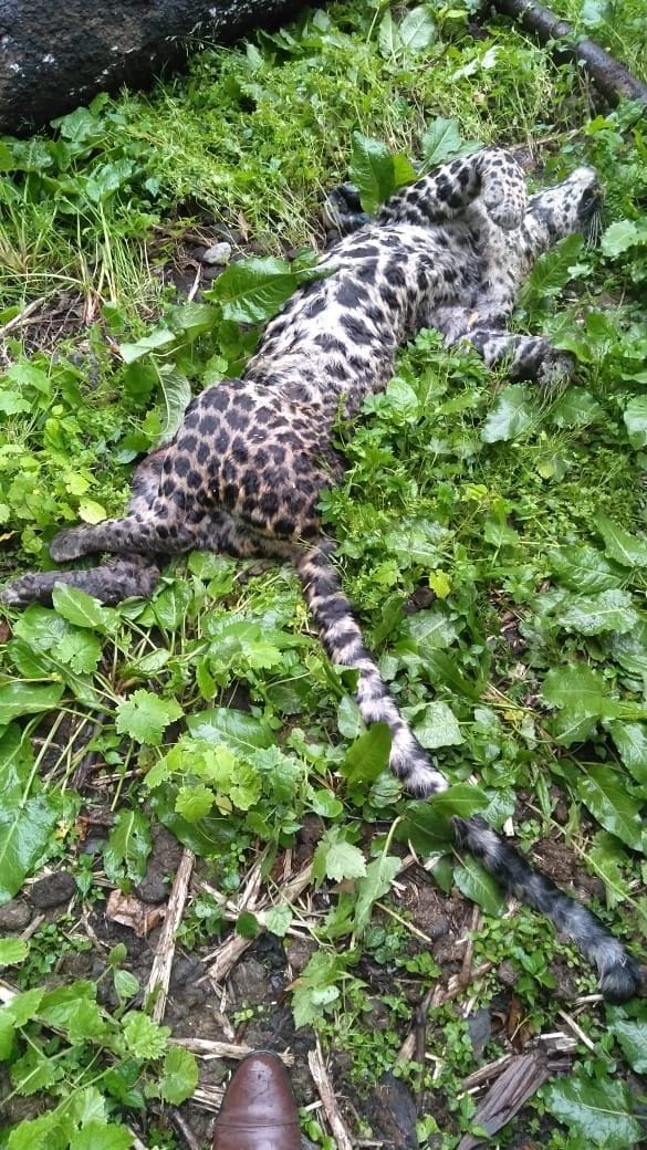 civic amenities