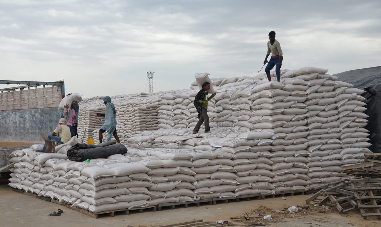 Procurement agency rejected 300 Quantal wheat.