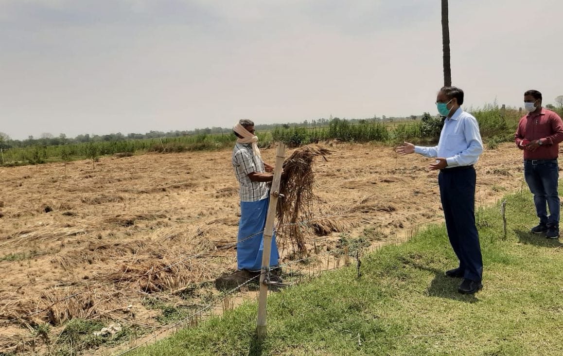 Deputy director goes out to investigate the damage caused by hail