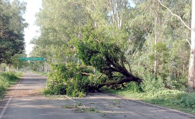 Power supply stalled due to storm and rain