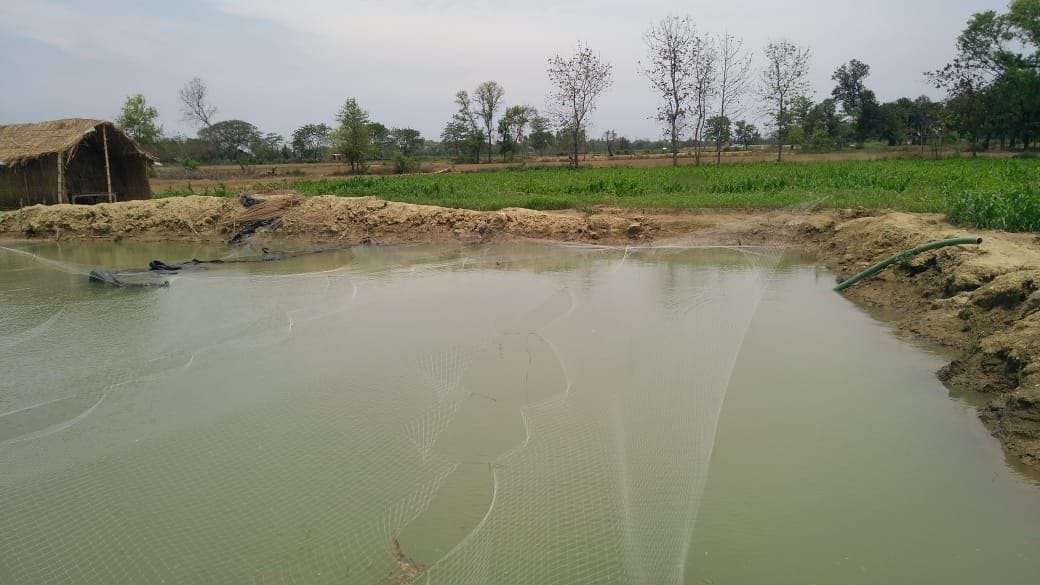 farmer dug pond pradhan taken payment