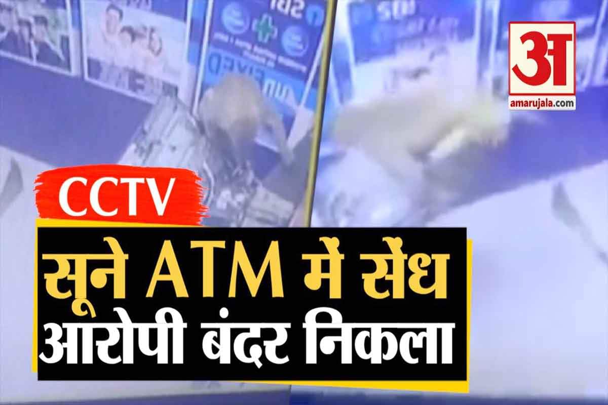 एटीएम के अंदर बंदर