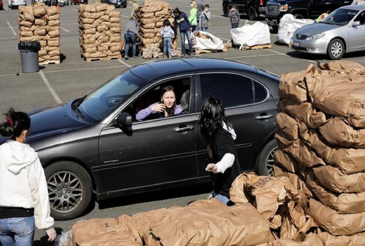 US Farmers giveaway or distributing free potatoes to avoid food waste due to Coronavirus