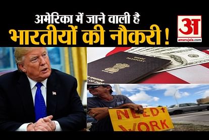 American senator demands for H1b Visa holders job suspension