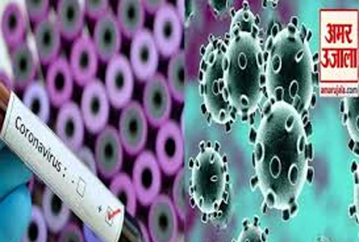 wife asked for corona virus test husband threatened to kill her in haryana