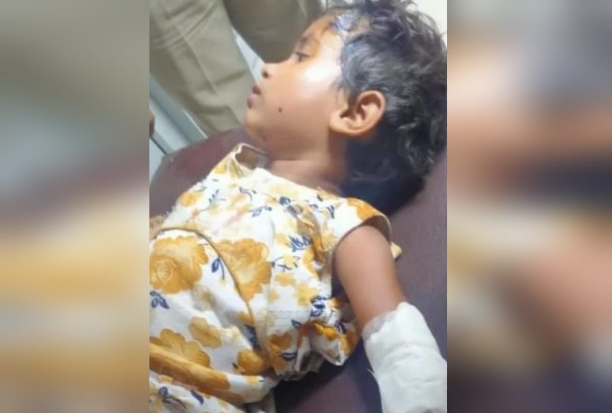 painful road accident injured children looking for mother all night in lucknow