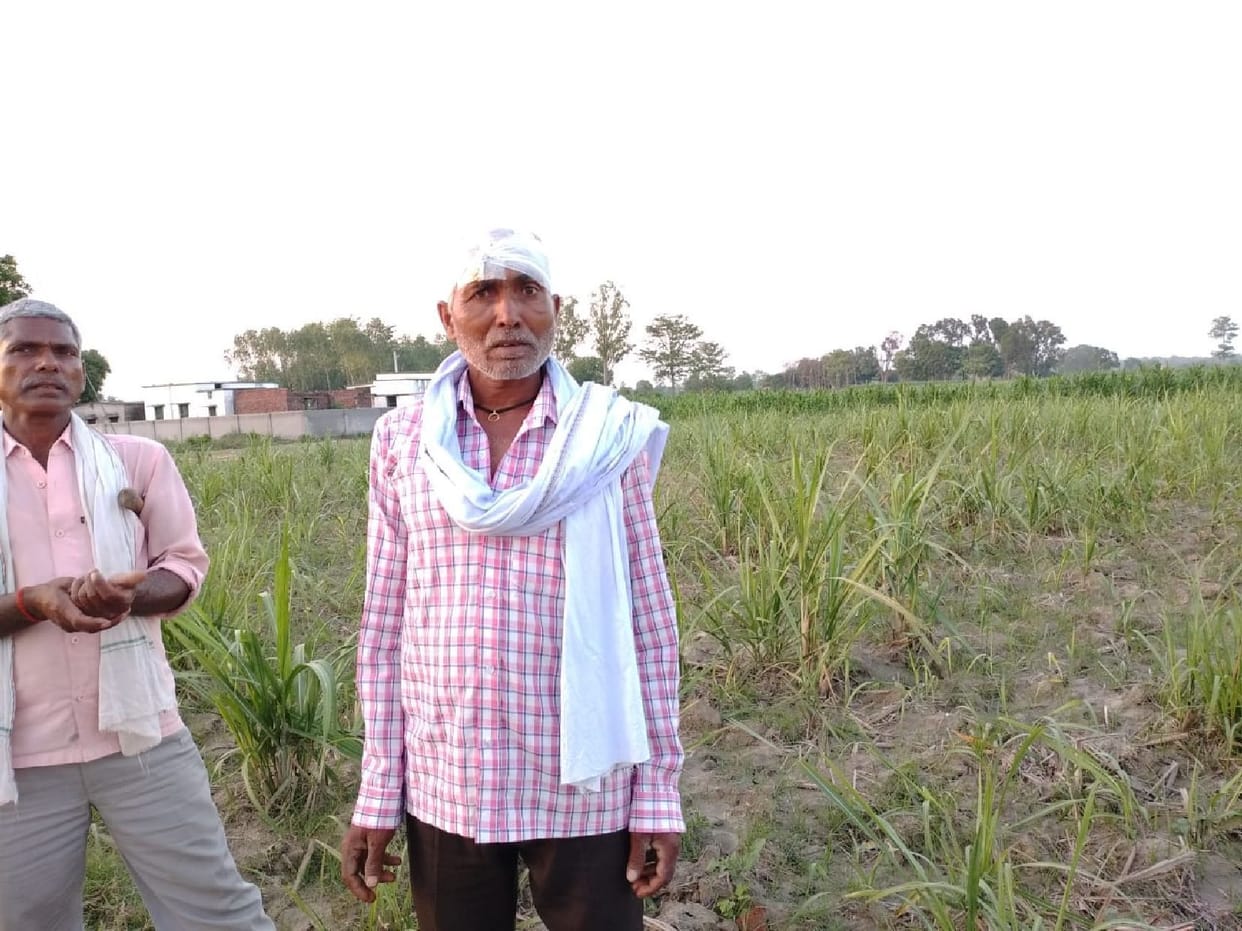 Leopard attacked two farmers in the field