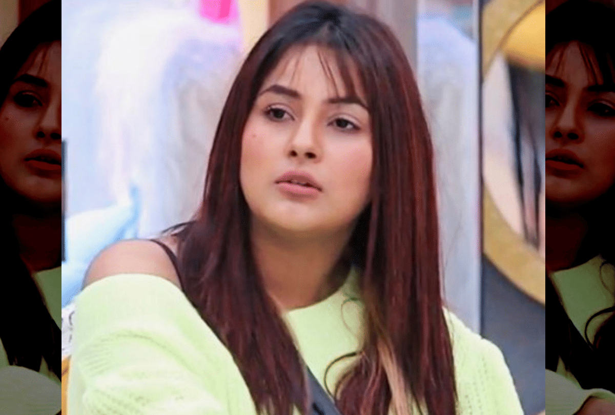shehnaaz gill look very slim in latest pic fans give comment