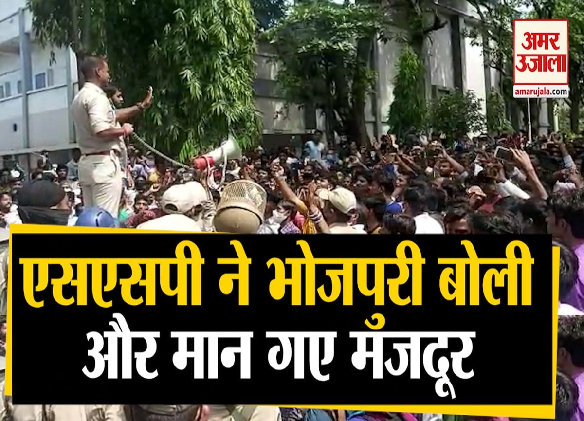 वायरल वीडियो