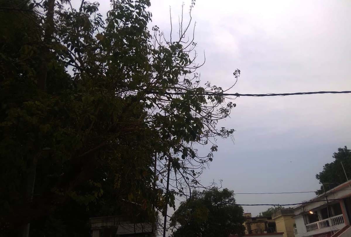 Weather Forecast Update Today in UP Latest News: Cyclone Tauktae, Rain Alert Cyclone