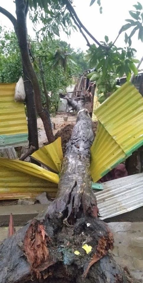 Rain in Tanakpur
