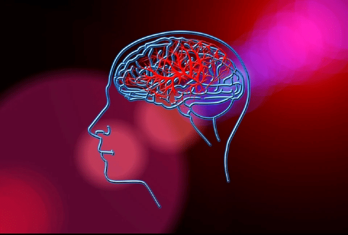 Due to falling mercury in Delhi, nerves of the brain are getting blocked, there is a danger of bursting.