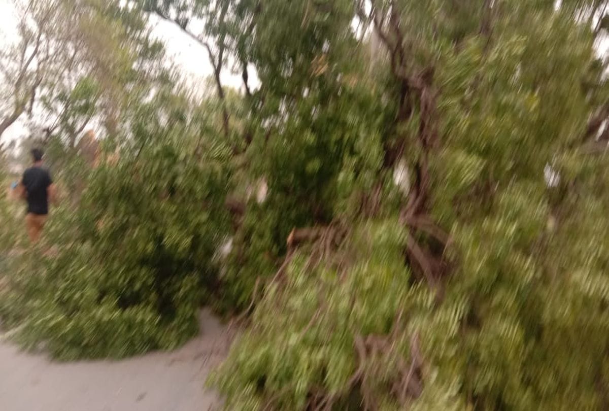 agra weather change due to dust storm