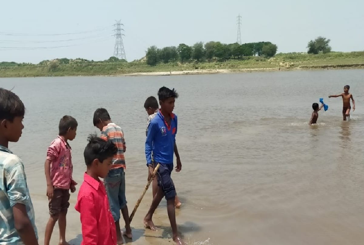 Fish died due to Poisonous water came in Rapti river at Gorakhpur