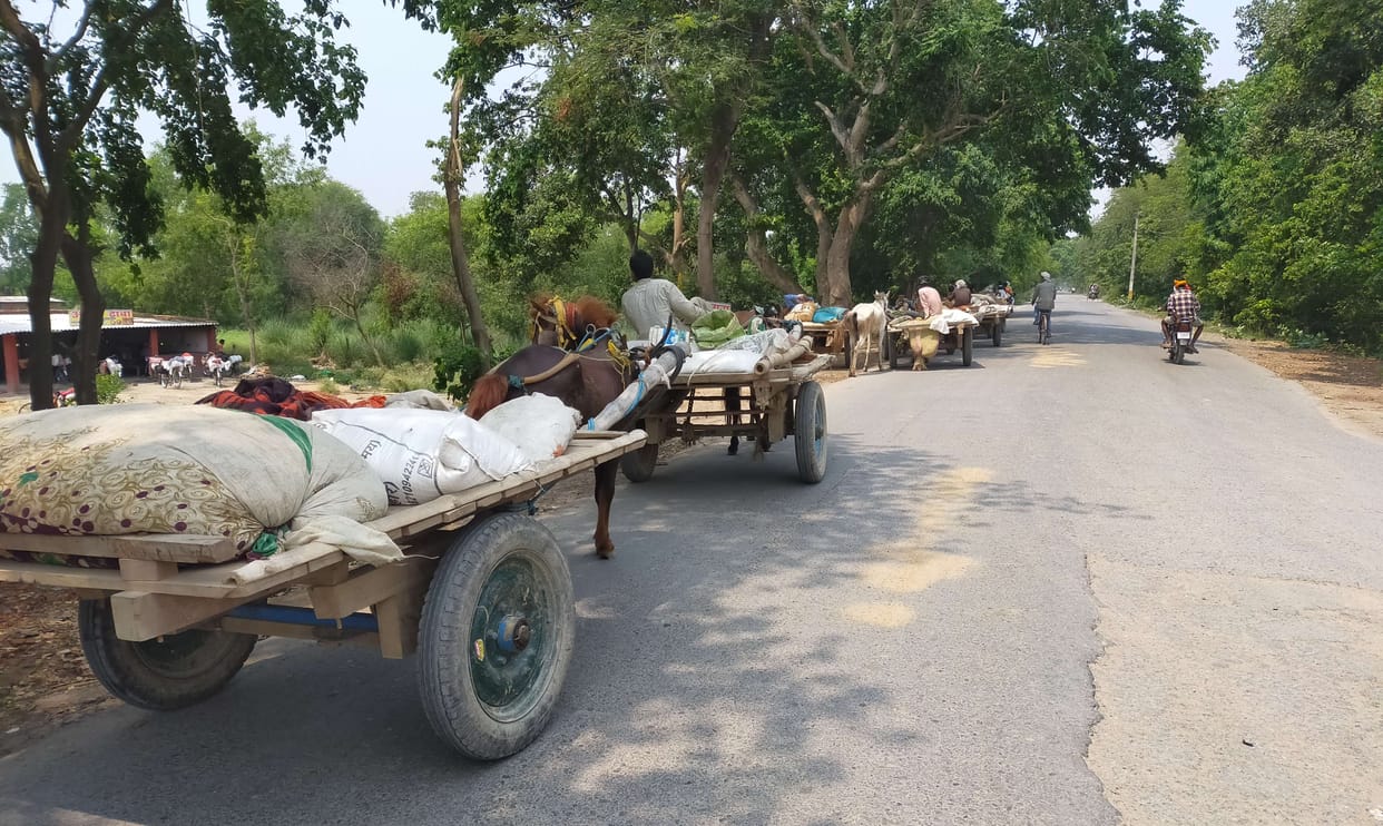 People going to destination by foot, bicycle and horse carriage