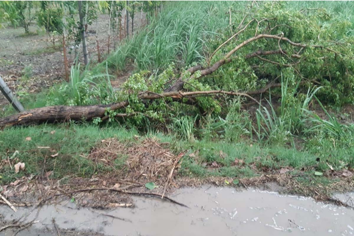 three people died in mirzapur fall during rain