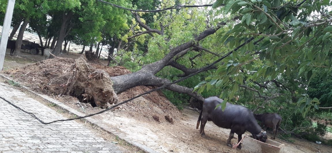 Lightning struck five villages due to rain