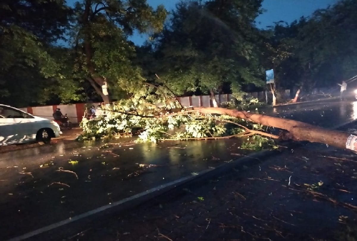 Rain and thunder havoc in up  many died  