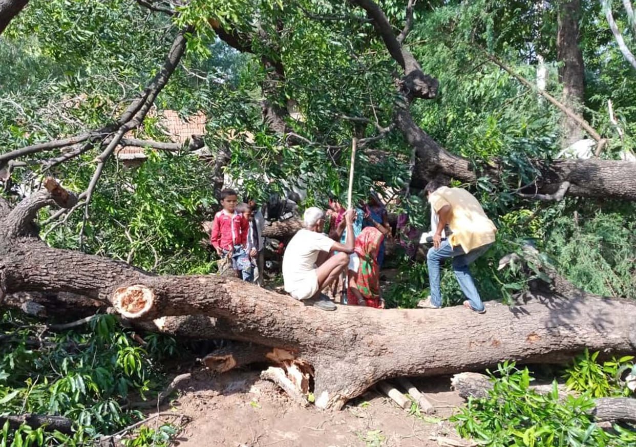 Woman dies after being buried in a tree due to the storm