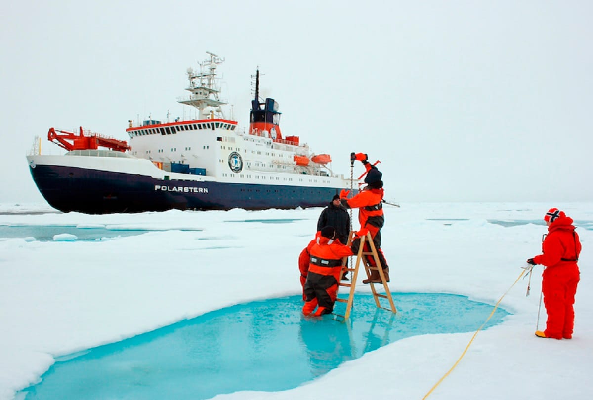 Arctic will look snowless in summer after few decades