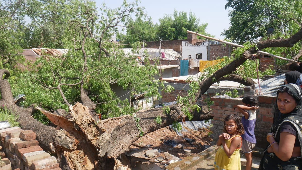 Three injured including a policeman after hitting a tree ?fallen in storm