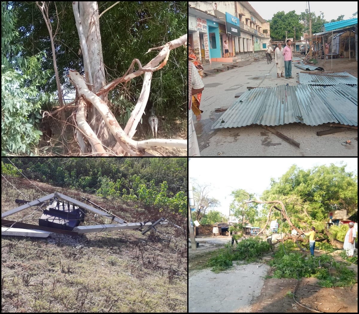 Heavy rain storm Two people died many injured in purvanchal dist tree Electric poles fell