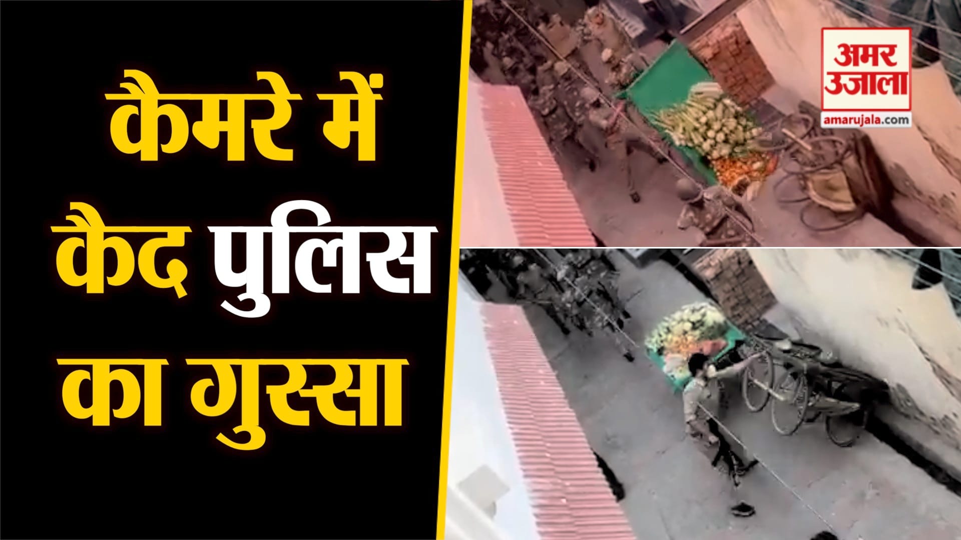 वीडियो से ली गई तस्वीर