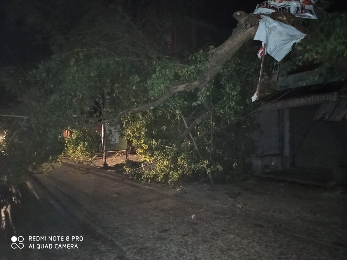 Trouble in the evening due to thunderstorms, trees fell in many places, teenshed blown