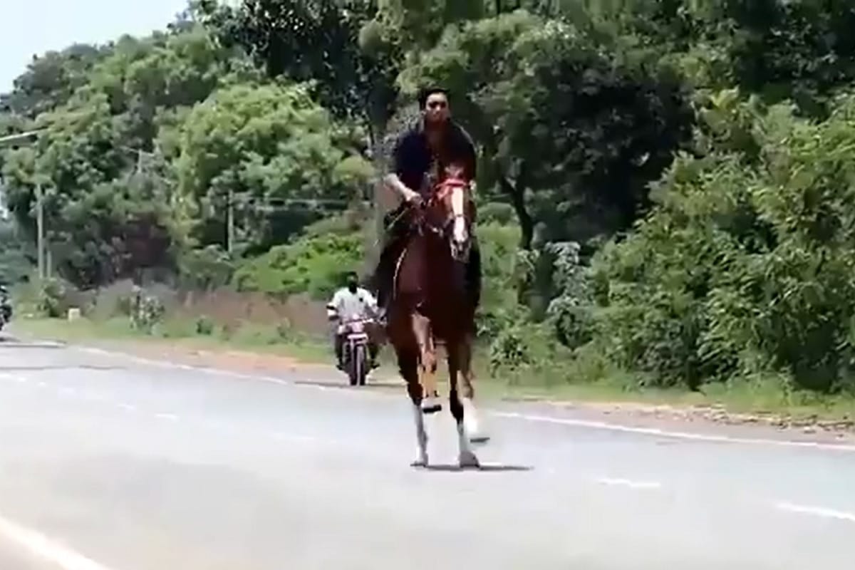 Karnataka BJP MLA son did horse riding on national highway during Lockdown, video viral